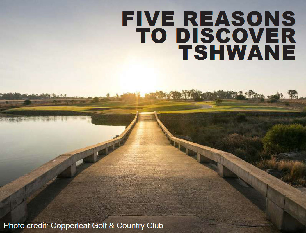 5-reasons