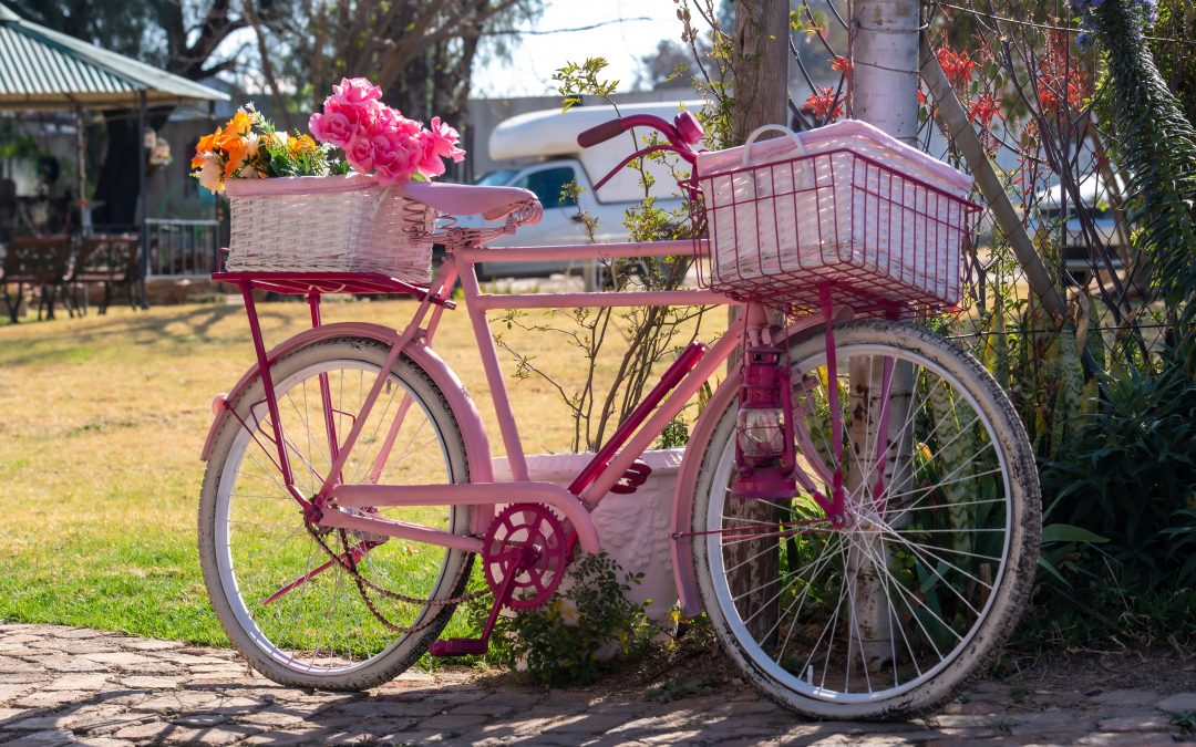 Cullinan-pink bike